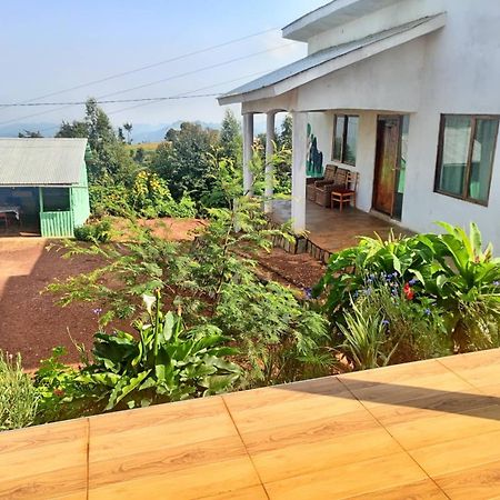 Ruhija Gorilla Guest House Kabale Εξωτερικό φωτογραφία
